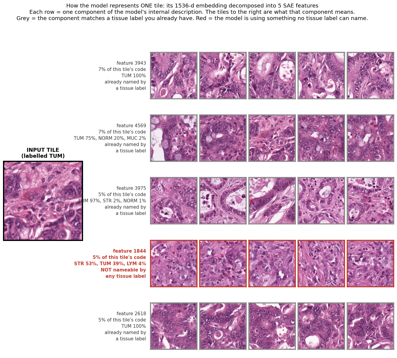 Tile decomposition figure from Owkin presentation