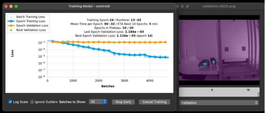 SLEAP centroid model training monitor with loss curves and validation preview